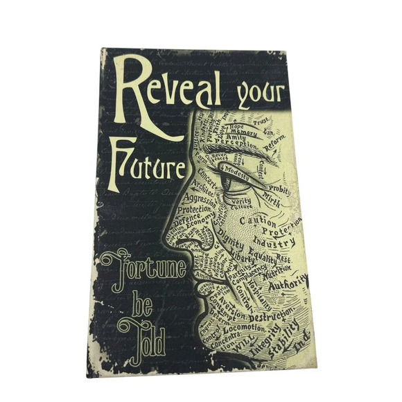 Fortune Teller psychic book safe Opens to store metaphysical supernatural oracle - Picture 3 of 9